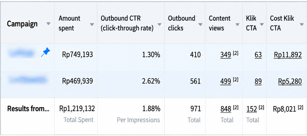 Dua campaign dengan data biaya, outbound CTR, klik, content views, klik CTA, dan biaya per klik CTA. Data pembelian belum ditampilkan.
